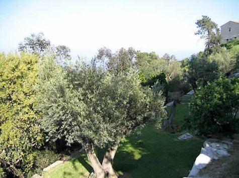 Villa Alamp#Supercannes #Golfejuan #Cannes #Mediterraneanpanoramicview #Piscine #Rooftop # Verymodern #Openliving #Closebeach #Closecapantibes Vallauris Dış mekan fotoğraf